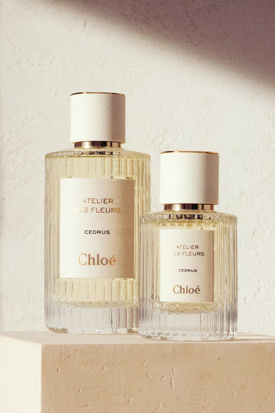 Buy Chloé Perfumes Atelier des Fleurs Cedrus Eau de Parfum, 150ml