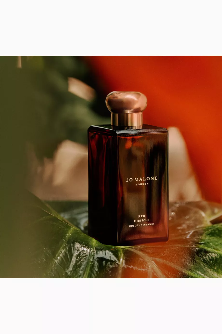 Buy Jo Malone London Red Hibiscus Cologne Intense, 50ml For UNISEX